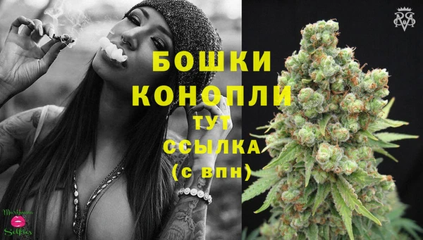ГАЛЛЮЦИНОГЕННЫЕ ГРИБЫ Корсаков