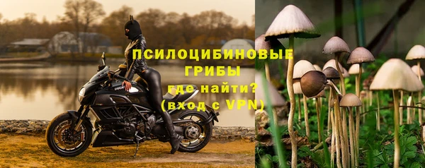 ГАЛЛЮЦИНОГЕННЫЕ ГРИБЫ Корсаков