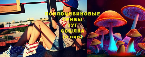 2c-b Коряжма