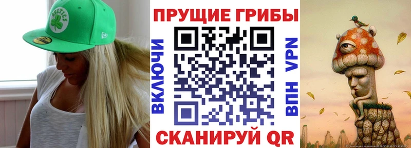Купить Лысьва Галлюциногенные грибы Magic Shrooms